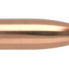 22 CALIBER 40GR FB TIPPED VARMAGEDDON (250CT)