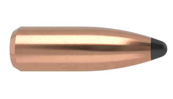 22 CALIBER 40GR FB TIPPED VARMAGEDDON (250CT)